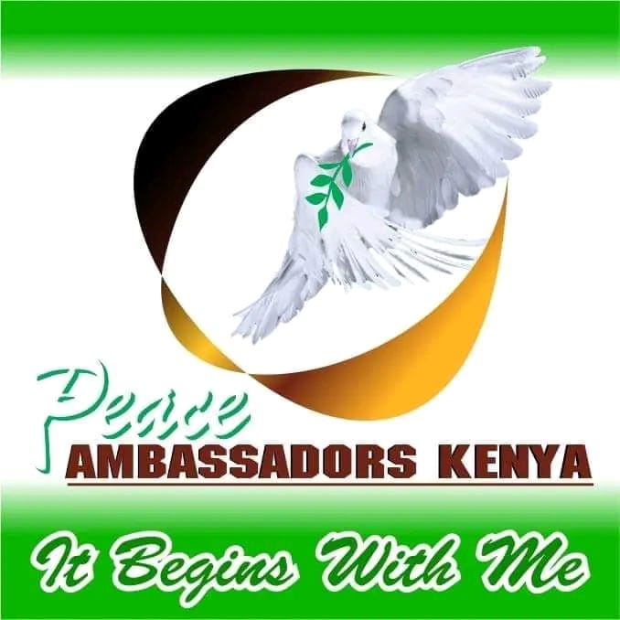 Peace Ambassadors Integration Organization